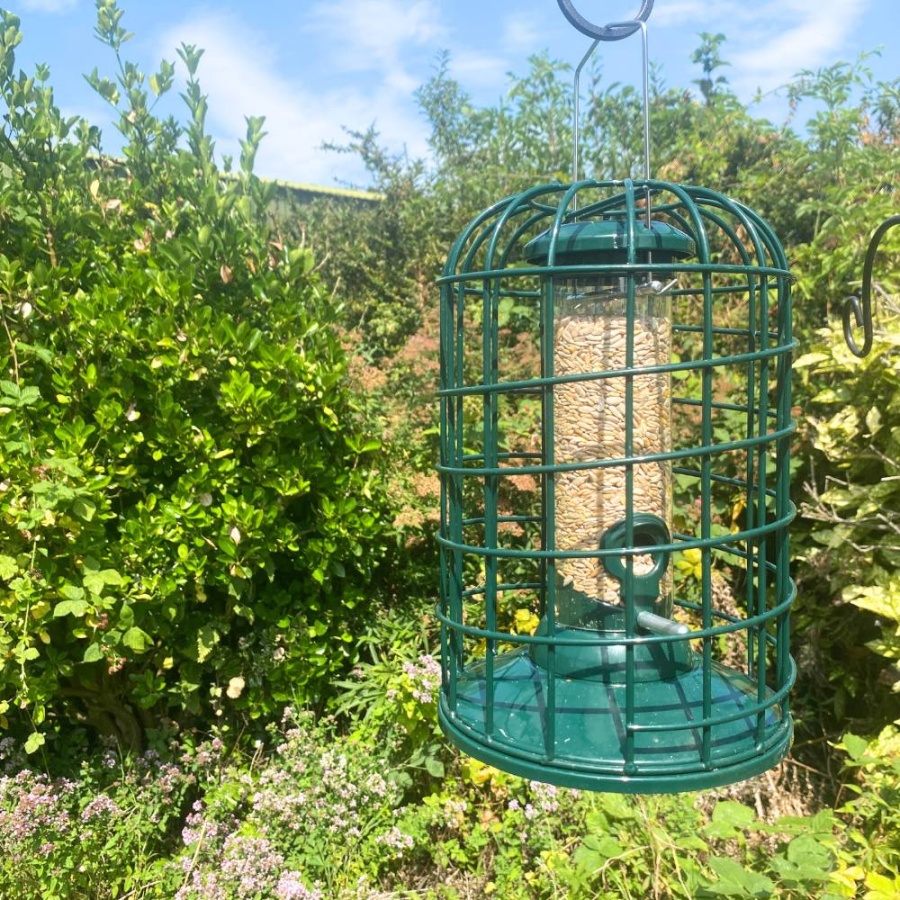 Premium Guardian - Seed Feeder for Birds